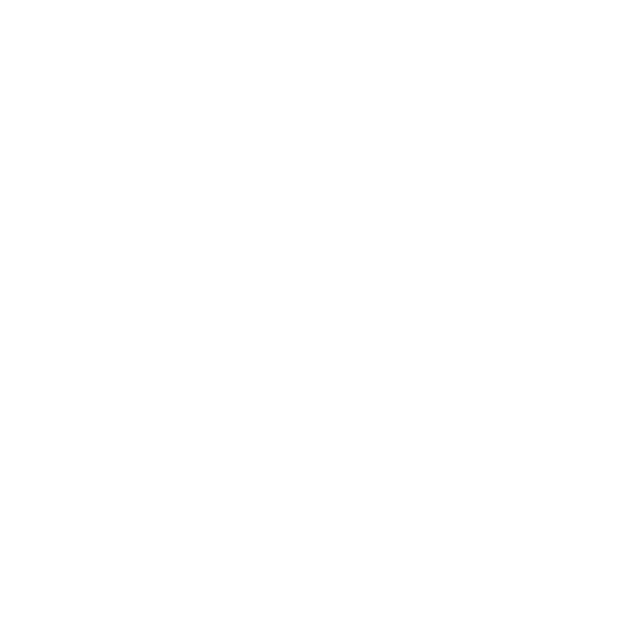 Vitalize Logo